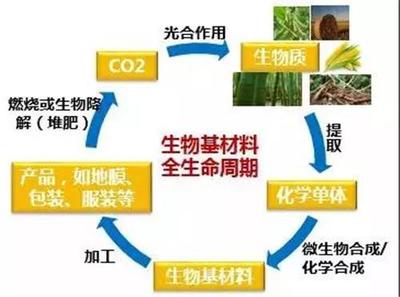 生物基材料:助力绿色环保的“未来之钥”