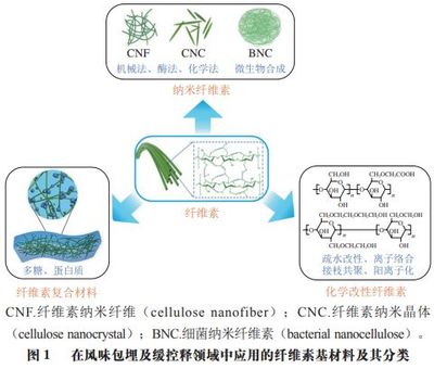 《食品科学》:上海应用技术大学田怀香教授等:纤维素基材料在风味物质包埋和控释中的研究进展